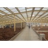 遼寧鋼結構制作企業/福鑫騰達彩鋼/施工鋼結構玻璃頂